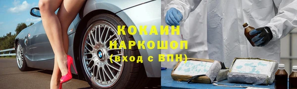 гидропоника Каменка