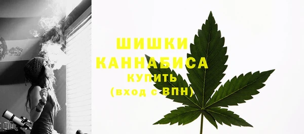 гидропоника Каменка