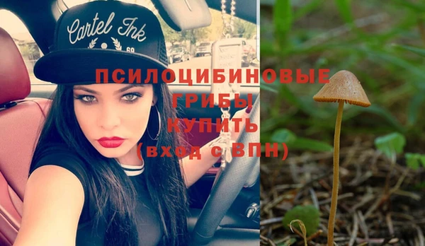 синтетический гашиш Каменногорск