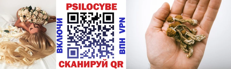 Купить закладки  Гудермес  Галлюциногенные грибы мухоморы 